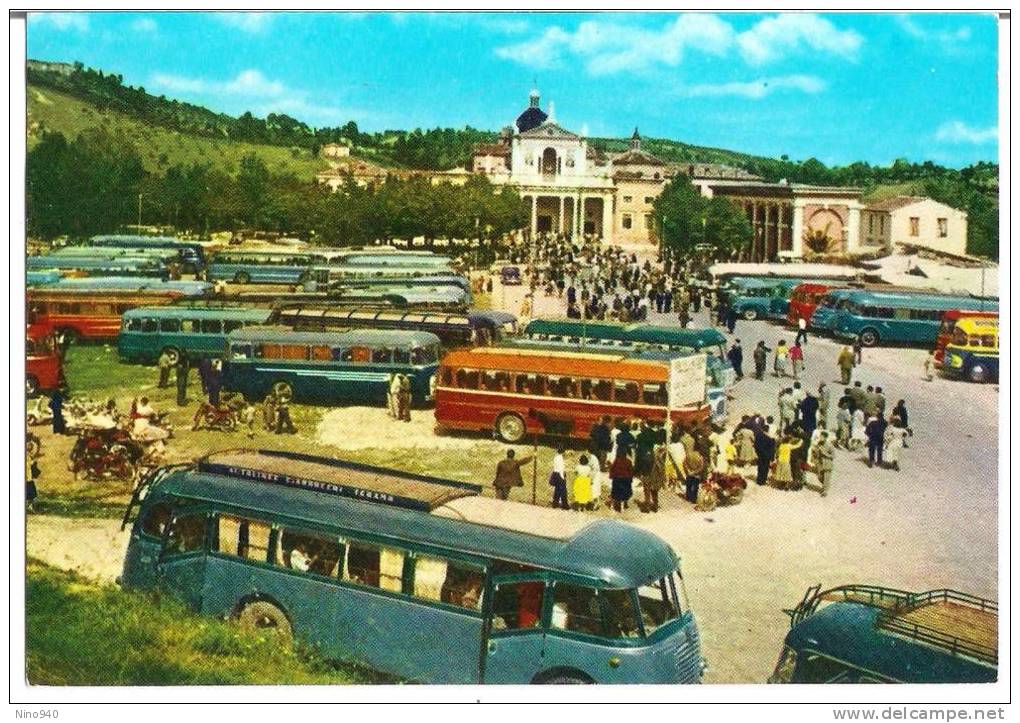 MONTEVERGINE (AV) - FUNICOLARE E PANORAMA- F/G - V: 1964 - Animata - Bus - Avellino