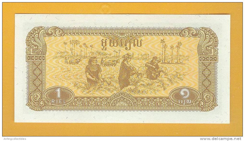 Cambodia Banknote: 1 Reils - 1979 Series - UNC - Cambodia