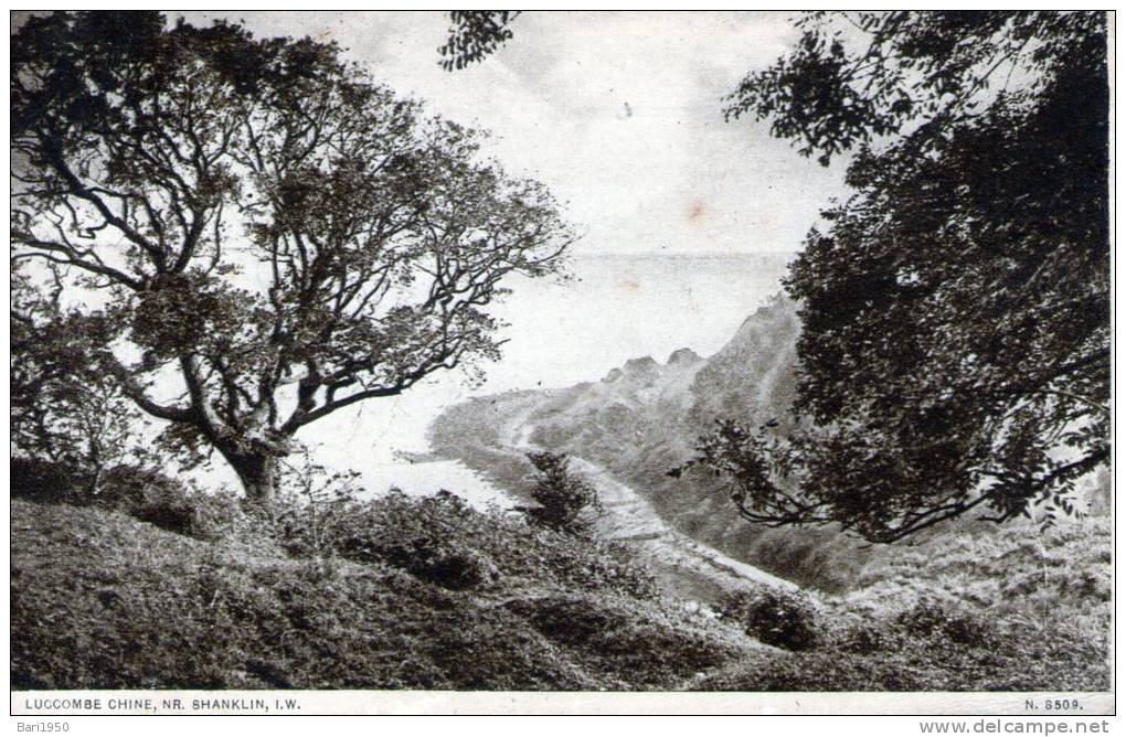 Beatiful   Old  Post Card    " LUCCOMBE  CHINE,  NR. SHANKLIN,  I.W.  " - Sonstige & Ohne Zuordnung