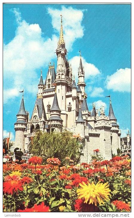 USA, Cinderella Castle, Walt Disney World, Unused Postcard [12165] - Disneyworld