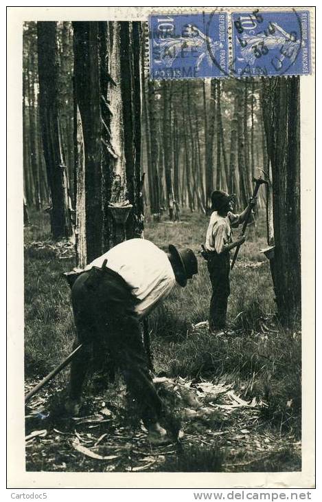 Castets-des-Landes  Paysages Cpsm Format Cpa - Castets