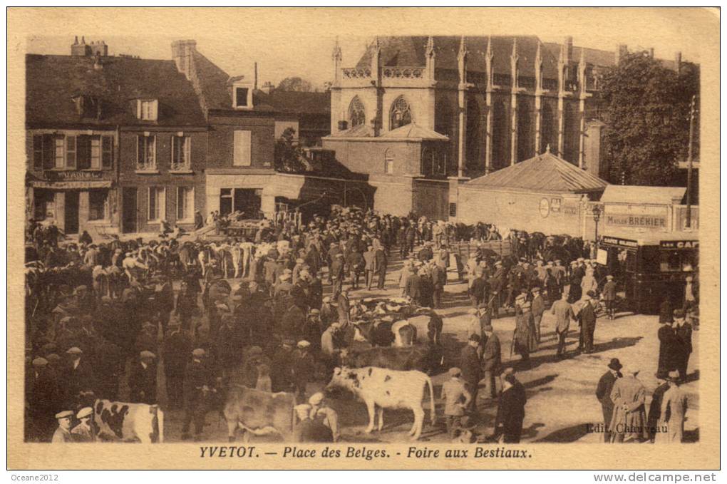 YVETOT Place Des Belges, Foire Aux Bestiaux - Yvetot