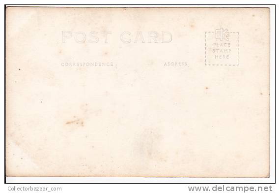 LOT OF 5 RPPC MUIR WOODS NATIONAL PARQ GIANT TREES CALIFORNIA POSTCARDS [W3_0524]