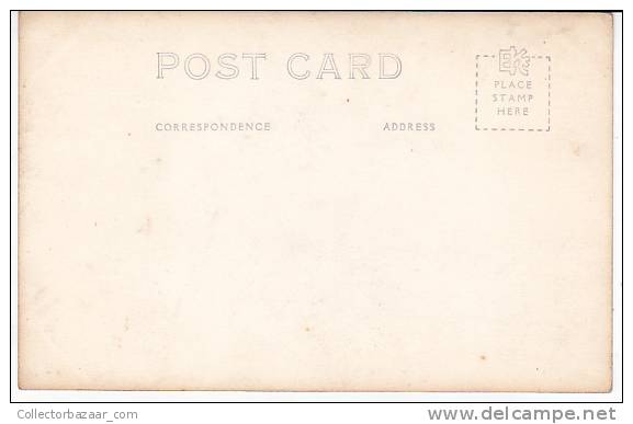 LOT OF 5 RPPC MUIR WOODS NATIONAL PARQ GIANT TREES CALIFORNIA POSTCARDS [W3_0524]