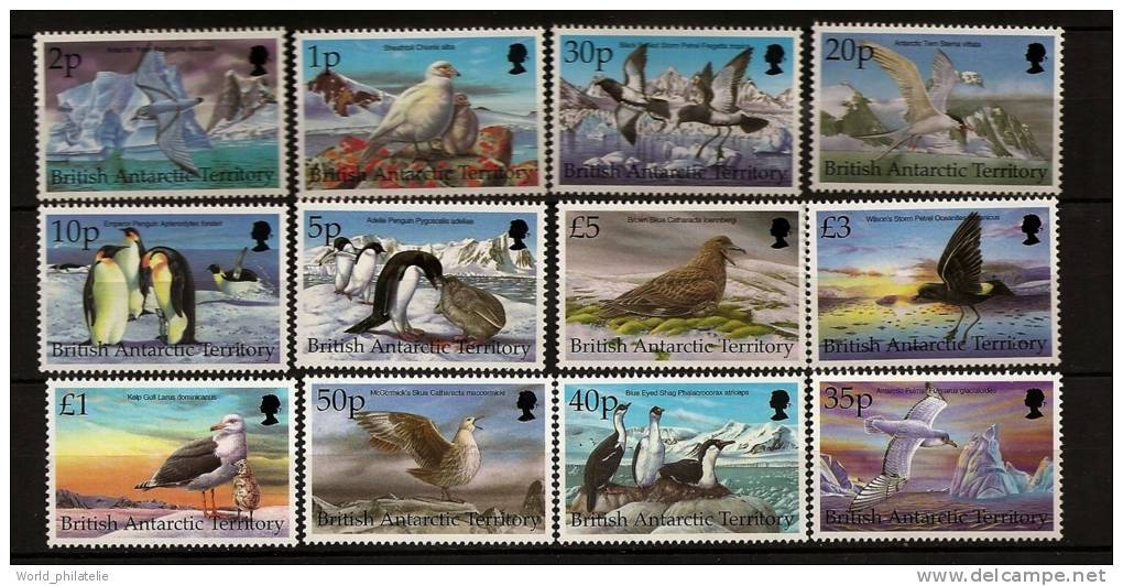 Antarctique Britanique BAT 1998 N° 290 / 301 ** Courant, Oiseaux, Chionis, Aptenodytes, Sterne, Fregatte, Catharacta - Andere & Zonder Classificatie