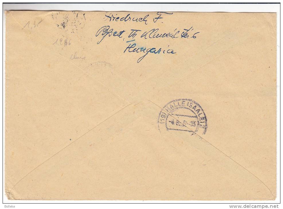 Chiens - Hongrie - Lettre De 1966  ?? - Lettres & Documents