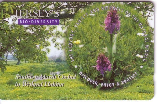 SOUTHERN MARSH ORCHID ( Jersey Islands ) Orchidee Orchids Flower Flor Fleur Flowers Fluers Fiori Blumen Flora Flore - [ 7] Jersey Und Guernsey