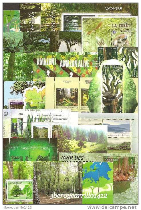 EUROPA 2011- “LOS BOSQUES" - COLECCIÓN MUY COMPLETA DE SELLOS Y HOJITAS BLOQUE.-TEMÁTICA EMITIDA POR 63 PAÍSES - Collections