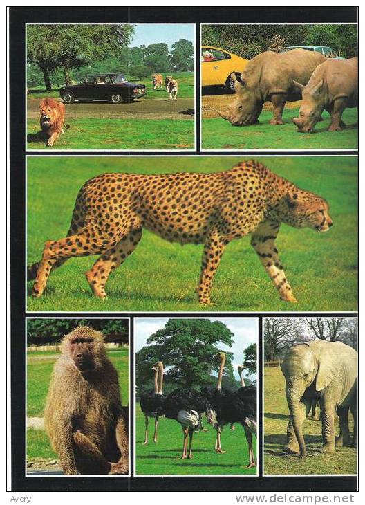 Parc Safari Africain, Hemmingford, Quebec  Le Magazoine En Souvenir Du Safari  20 Pp. - North America