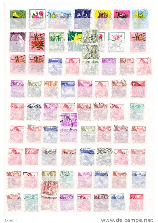 Timbres De Suisse Sur Pages De Classeur - Collections