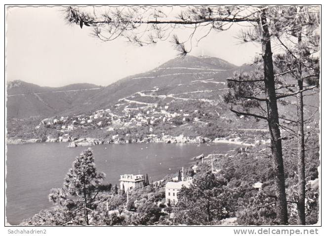 06. Cpsm. Gf. THEOULE-MIRAMAR. Vue Panoramique Sur Le Trayas. 71116 - Sonstige & Ohne Zuordnung