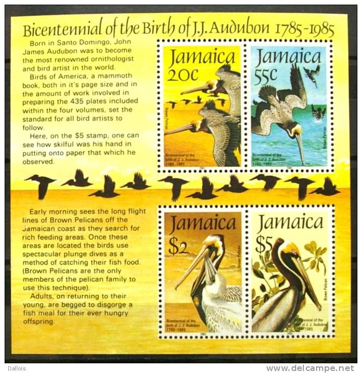 Jamaique -1985 - Bicentenaire De La Naissance De John Audubon - Birth Bicentenary Of John Audubon - Neufs - Pelikane