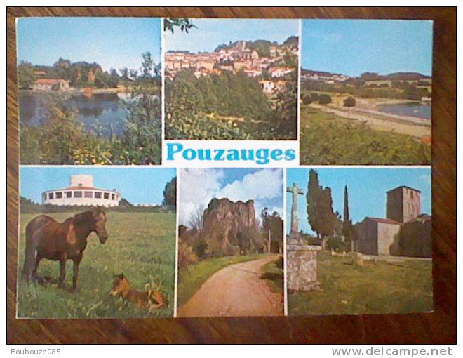 Pouzauges (85) Carte Multivue - Pouzauges