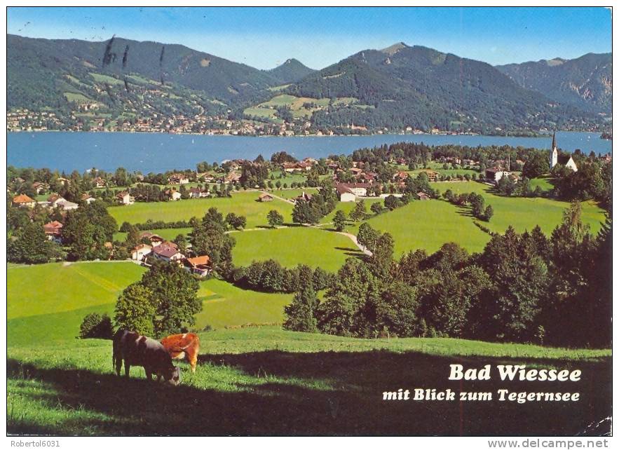 Germany BRD 1985 Bad Wiessee Machine Cancel Thermal Baths - Termalismo