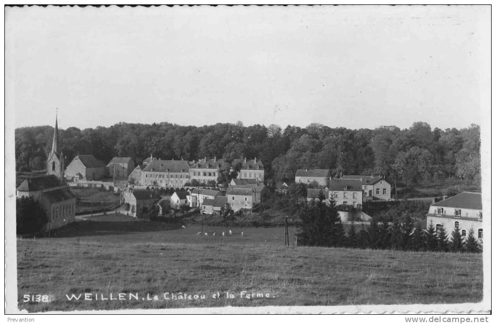 WEILLEN - Le Château Et La Ferme - Onhaye
