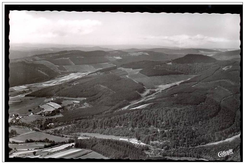 AK 2371 Hallenberg,Winterberg Hochsauerland - Blick Auf " Haus Waldesruh " N.gel. - Winterberg