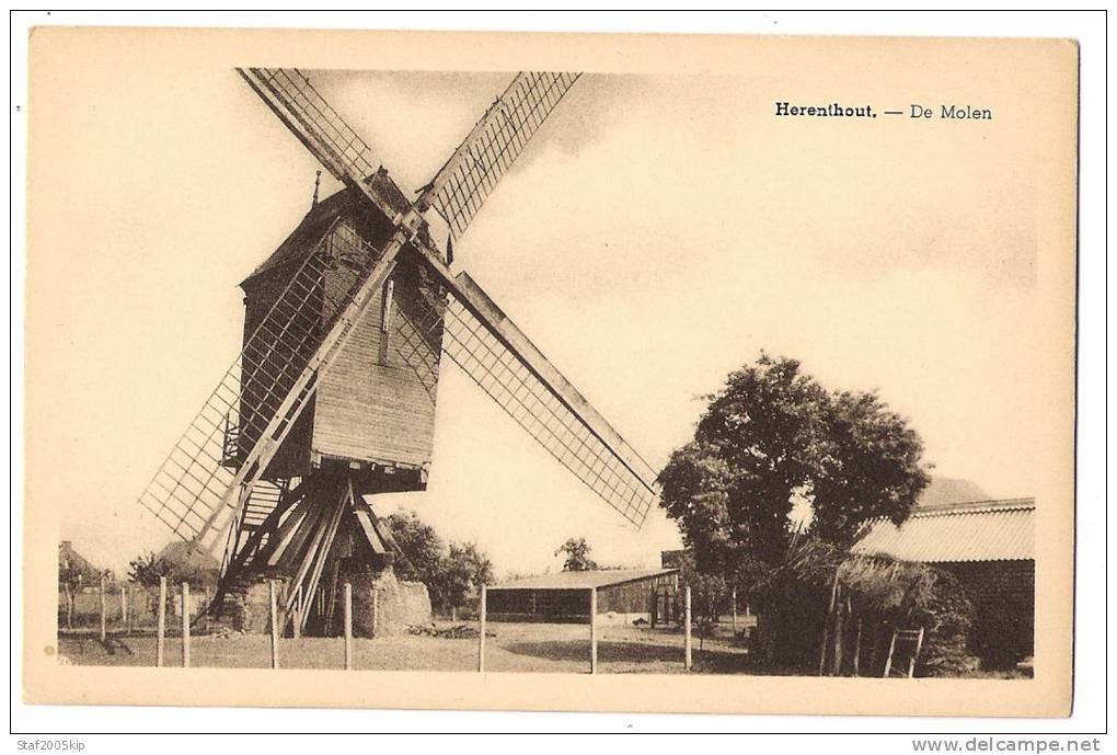 Herenthout - De Molen - Herenthout