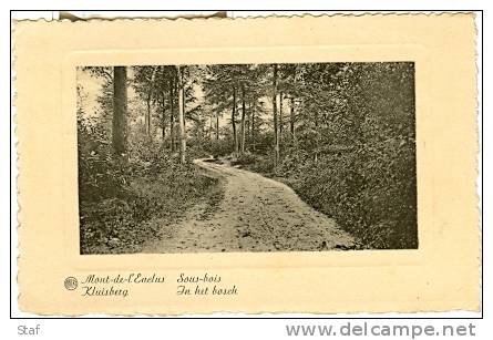 Kluisberg - Mont De L'Enclus : In Het Bos - Sous-bois - Kluisbergen