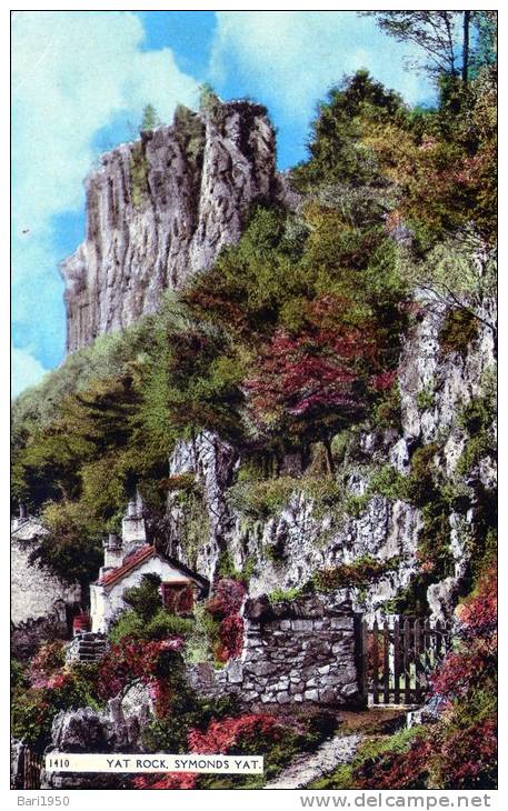 Beatiful   Post Card    "   YAT ROCK,  SYMONDS YAT  " - Herefordshire