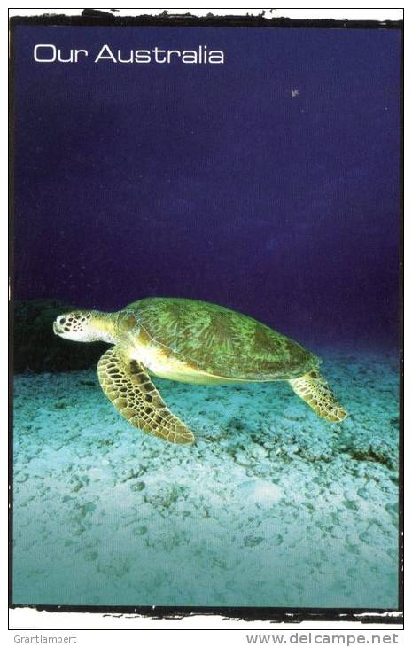 Green Turtle, Great Barrier Reef , QLD, Australia -  Avant COR79.0611 Unused - Tortues
