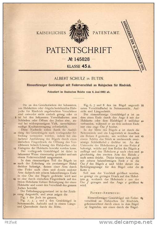 Original Patentschrift - A. Schulz In Eutin , 1902 , Genickbügel Für Rindvieh , Rinder , Landwirtschaft !!! - Historische Dokumente