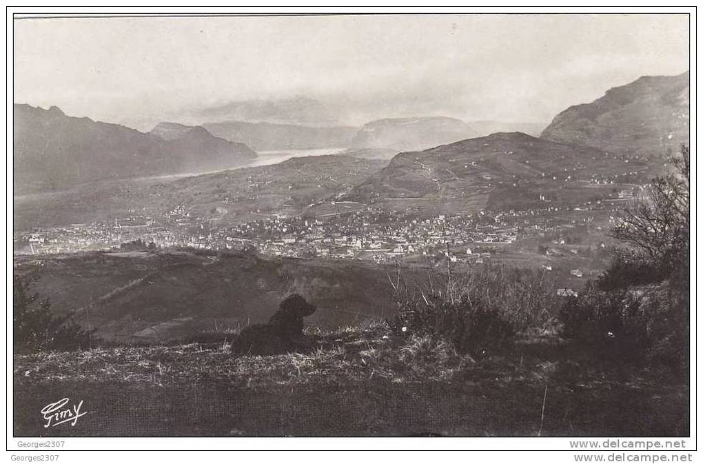 Carte Post. CHAMBERY Lac Du Bourget Et La Dent Du Chat + Chien Noir Devant - Chambery