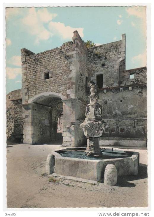 CPSM PERNES LES FONTAINES, PORTE NOTRE DAME ET FONTAINE DU CARNERAN, VAUCLUSE 84 - Pernes Les Fontaines