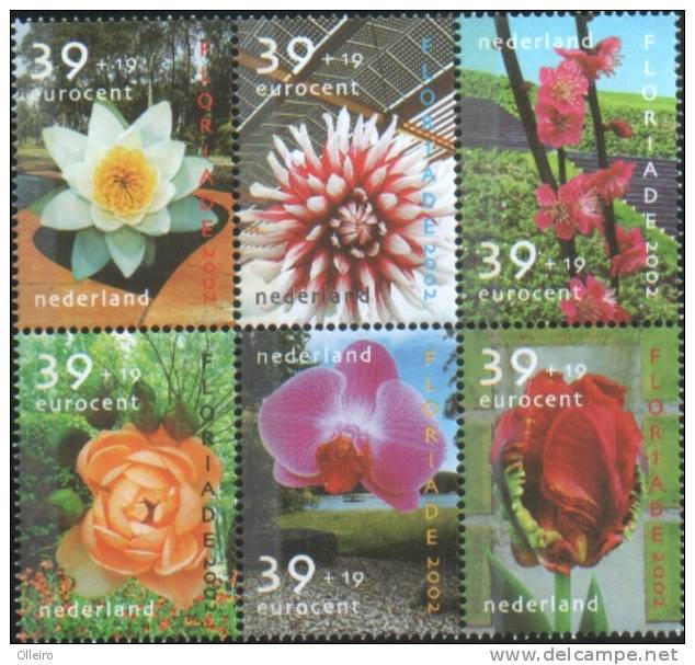 Olanda Pays-Bas Nederland  2002 Fiori Floriade 2002 (Flowers Blumen)  6v Se Tenant ** MNH - Unused Stamps