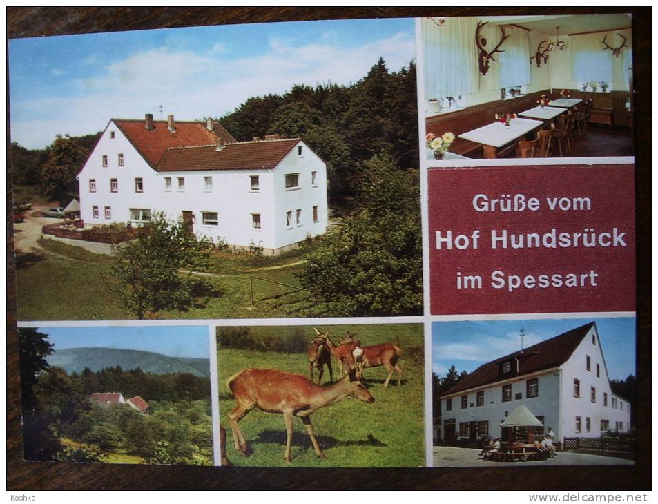 SPESSART - Hof Hundsrück - +/- 1970 - Gebr Metz - Lot 201 - Aschaffenburg