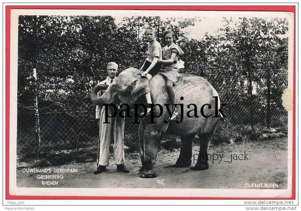 Rhenen  Photograph Vintage 1943 Ouwehand´s Dierenpark Grebbeberg Zutphen Postmark Elephant Children - Rhenen