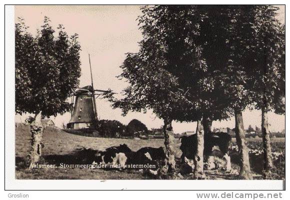 AALSMEER 11  STOMMEERPOLDER MET WATERMOLEN (CARTE PHOTO) - Aalsmeer