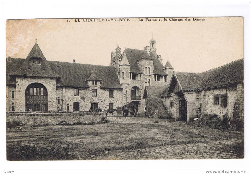 LE CHATELET EN BRIE  La Ferme Et Le Château Des Dames - Le Chatelet En Brie