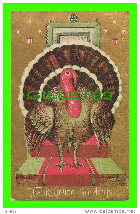 THANKSGIVING GREETINGS - BIG TURKEY IN CLOSE UP - WRITTEN - - Thanksgiving