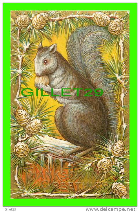 THANKSGIVING  GREETINGS - SQUIRREL & NUTS - EMBOSSED - WRITTEN IN 1909 - - Thanksgiving