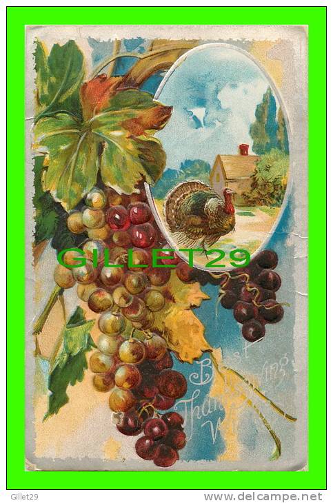 BEST THANKSGIVING  WISHES - TURKEY  WITH GRAPES - TRAVEL IN 1908 -  EMBOSSED - - Thanksgiving