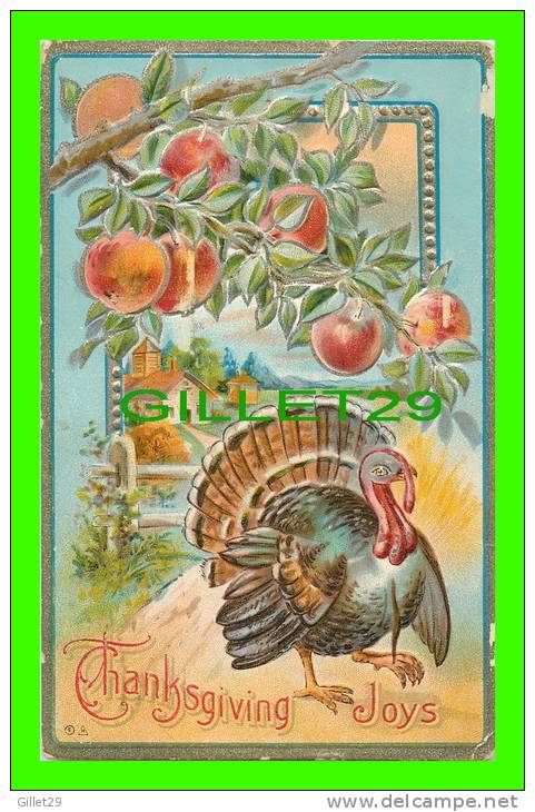 THANKSGIVING  JOYS - TURKEY  WITH APPLES TREE  - SERIES No 7  - TRAVEL IN 1911 - - Thanksgiving