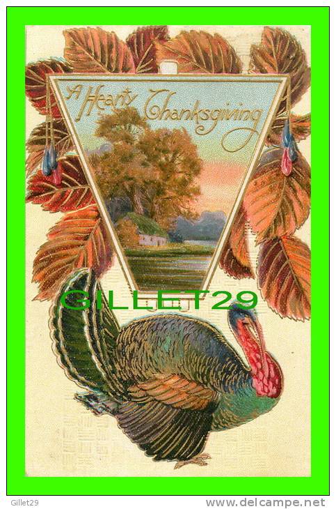 A HEARTY THANKSGIVING  - TURKEY & LEAFS - EMBOSSED - TRAVEL  IN 1913 - P. C. 246 - - Thanksgiving