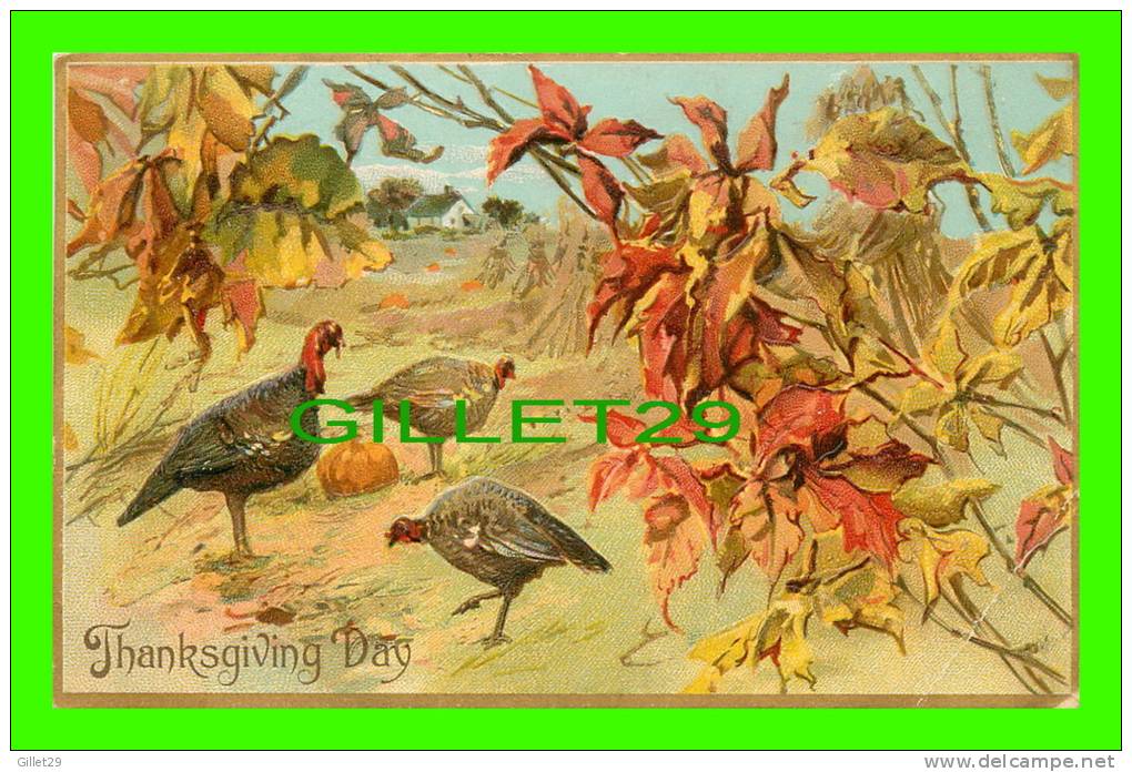 THANKSGIVING DAY - TURKEYS, PUMPKIN - TRAVEL IN 1908 - RAPHAEL TUCK &amp; SONS - SERIES No 123 - - Thanksgiving