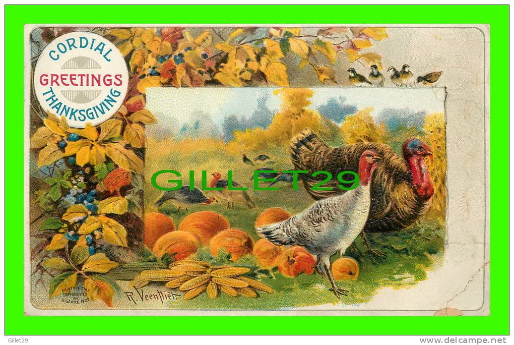 CORDIAL GREETINGS THANKSGIVING - TURKEYS - R. VEENTLIET - S. GASRRE, 1909 - TRAVEL IN 1909 - - Thanksgiving