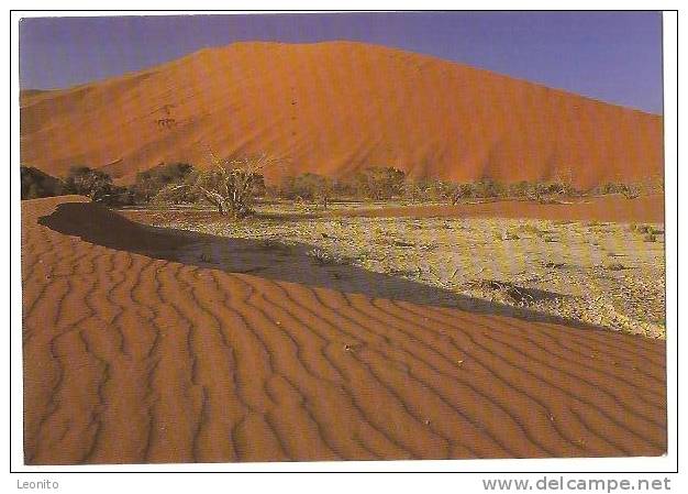 NAMIBIA Namib-Naukluft Park Sanddunes And Camel Thorn Trees At Sossusvlei Lüderitz 2001 - Namibië