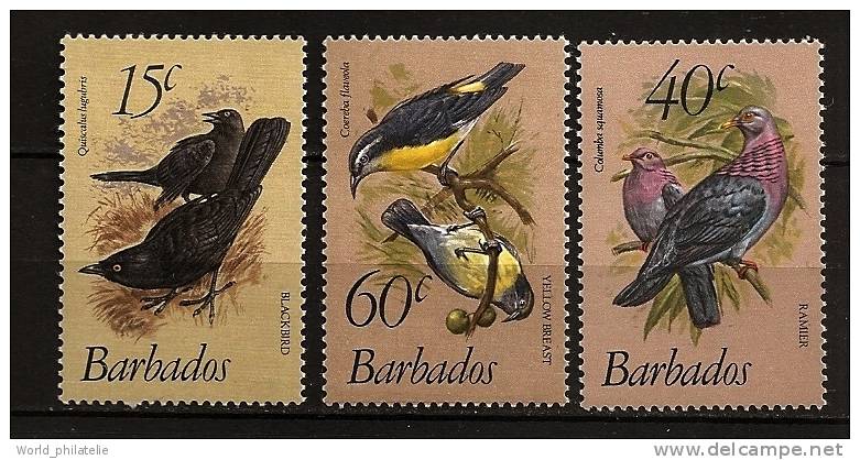 Barbade Barbados 1982 N° 545 / 7 ** Courant, Oiseaux, Quiscalus Lugubris, Columba Squamosa, Coereba Flaveola - Barbados (1966-...)