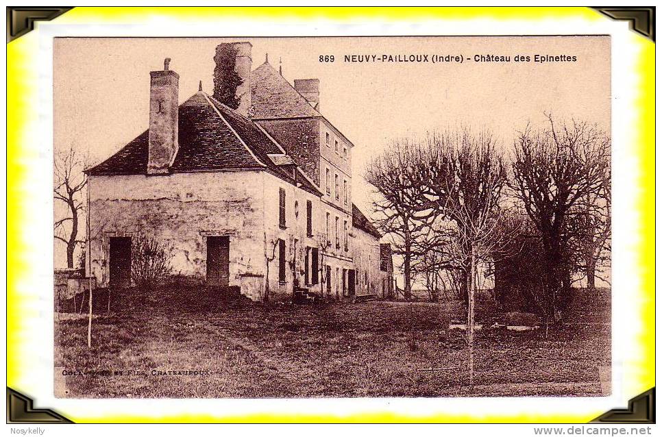 CP N°869   Neuvy-Pailloux   -   Château Des Epinettes ...  36   INDRE - Issoudun