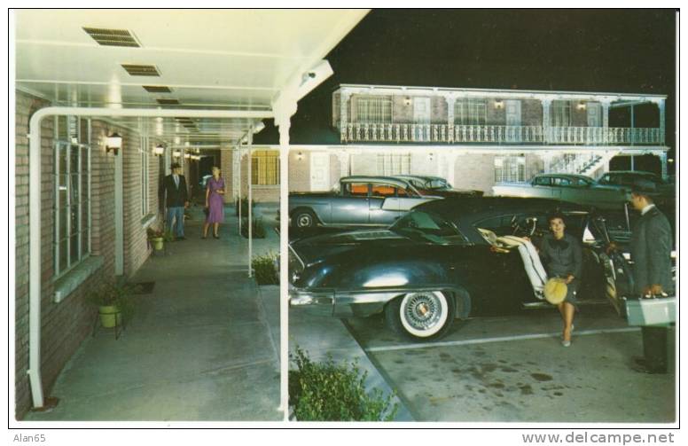 Columbia MO Missouri, Stephens Motel Lodging, Great Auto Fashion, C1950s Vintage Postcard - Columbia