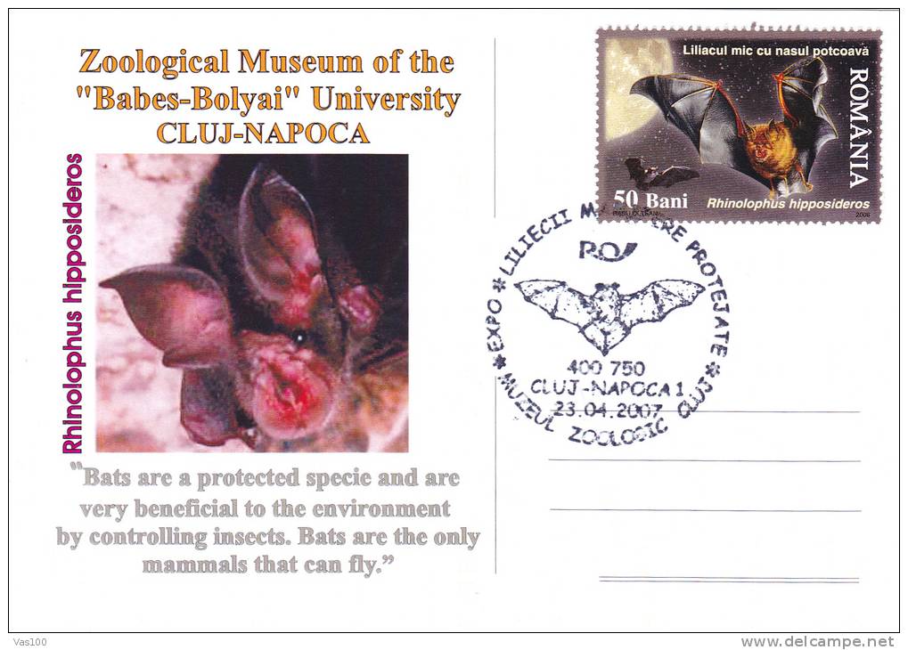 ANIMAUX,BAT,CHAUVE-SOURIS ,SPECIAL POSTCARD, STAMPS,OBLITERATION CONCORDANTE,ROMANIA,2007 - Chauve-souris