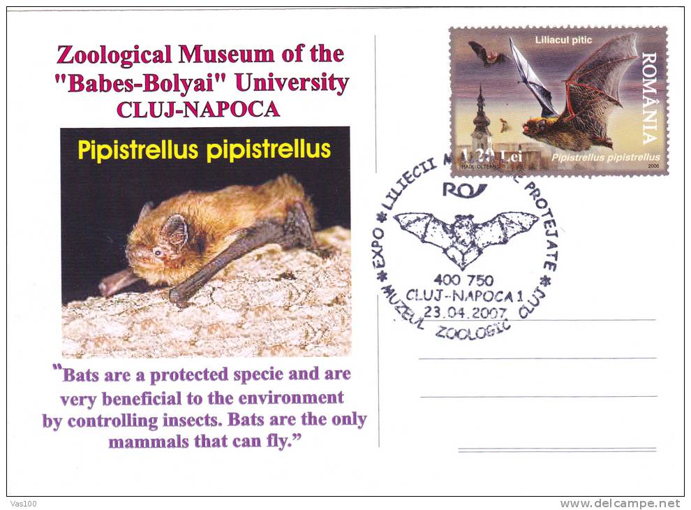 ANIMAUX,BAT,CHAUVE-SOURIS ,SPECIAL POSTCARD, STAMPS,OBLITERATION CONCORDANTE,ROMANIA,2007 - Fledermäuse