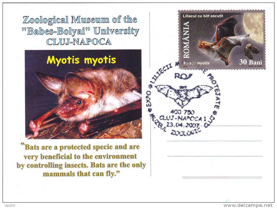 ANIMAUX,BAT,CHAUVE-SOURIS ,SPECIAL POSTCARD, STAMPS,OBLITERATION CONCORDANTE,ROMANIA,2007 - Chauve-souris