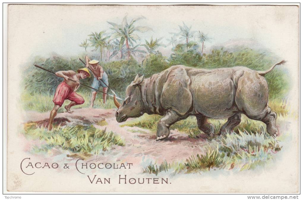 CHROMO Chocolat Van Houten Chasse Au Rhinocéros Chasseurs Lances - Van Houten