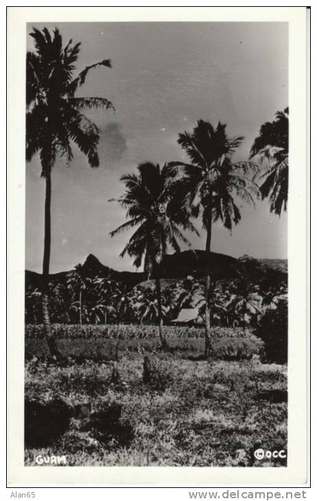 Guam, Buildings And Farm(?) On C1940s/50s Vintage Real Photo Postcard - Guam