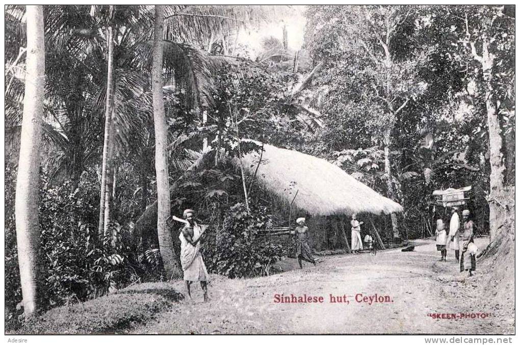 CEYLON, CEYLAN, Sinhalese Hut, Karte Um 1905 - Sri Lanka (Ceylon)