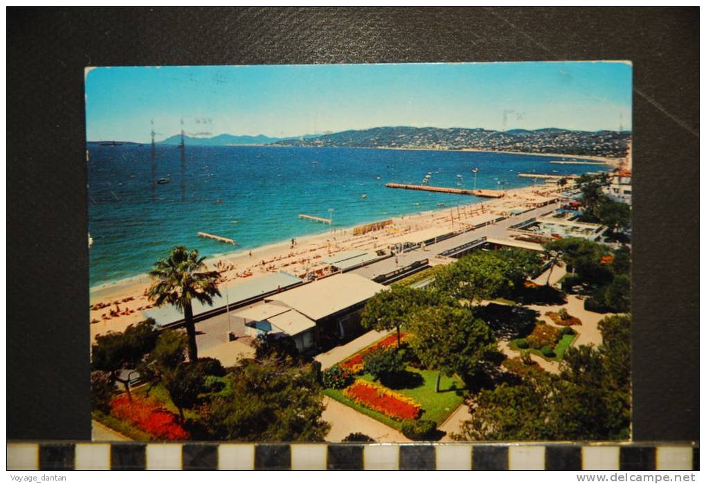 CPSM 06 -JUAN LES PINS - La Promenade Et La Baie , Au Fond L 'Esterel M569-EDITIONS AJAX - Juan-les-Pins